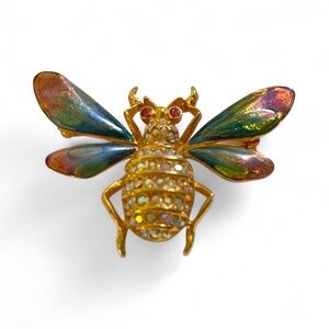 Colorful Insect Brooch